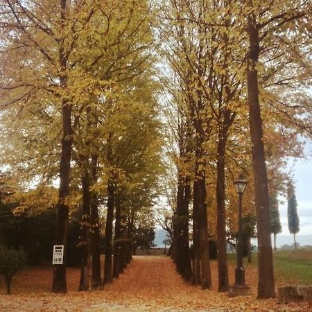 Relais Villa Gozzi B&B Arcugnano Zewnętrze zdjęcie