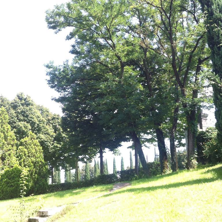 Relais Villa Gozzi B&B Arcugnano Zewnętrze zdjęcie