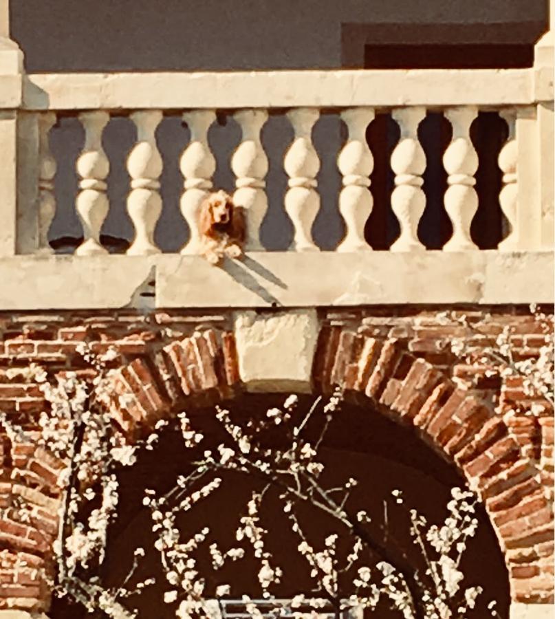 Relais Villa Gozzi B&B Arcugnano Zewnętrze zdjęcie