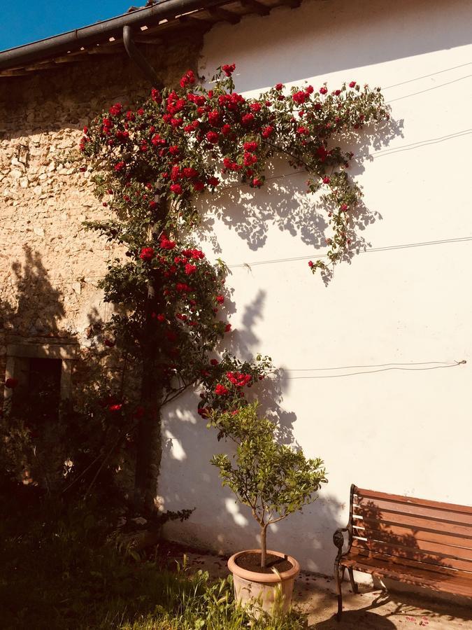 Relais Villa Gozzi B&B Arcugnano Zewnętrze zdjęcie