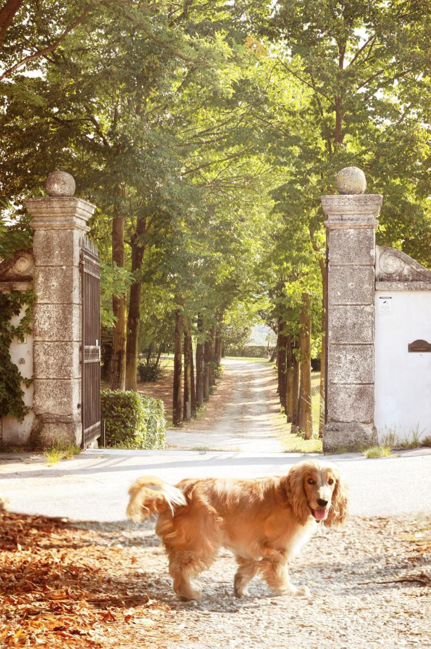 Relais Villa Gozzi B&B Arcugnano Zewnętrze zdjęcie